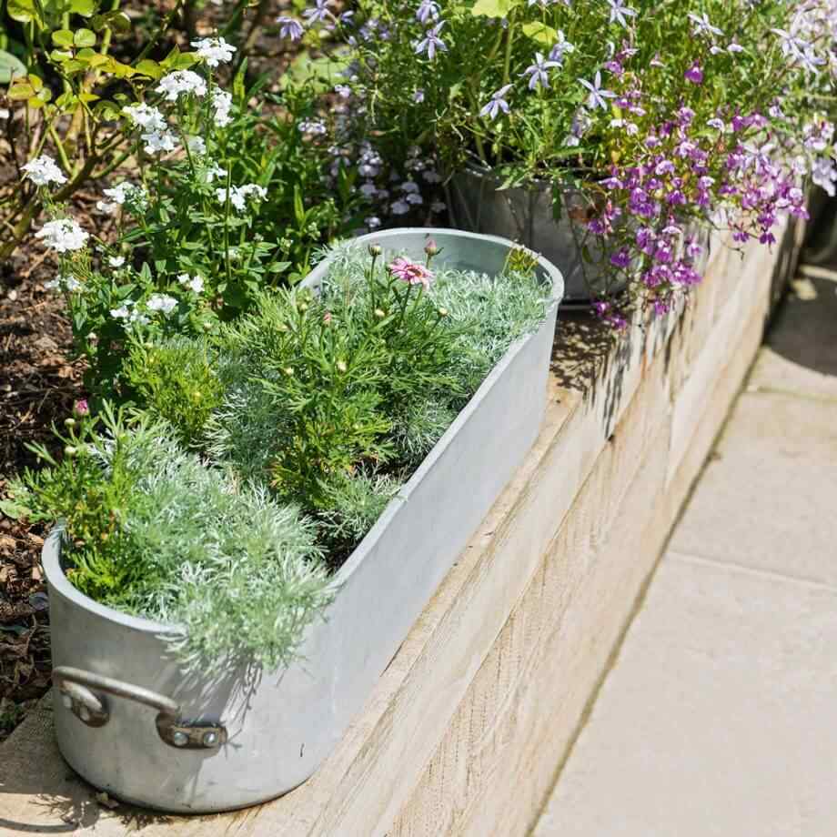 oalele & cratitele vechi ca si jardiniere