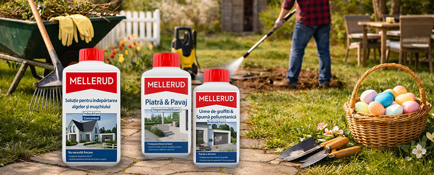 produse pentru curatenie exterior