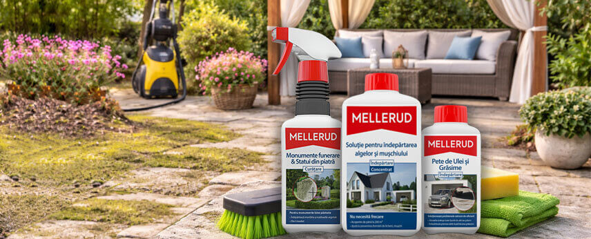 soluții curațenie exterior