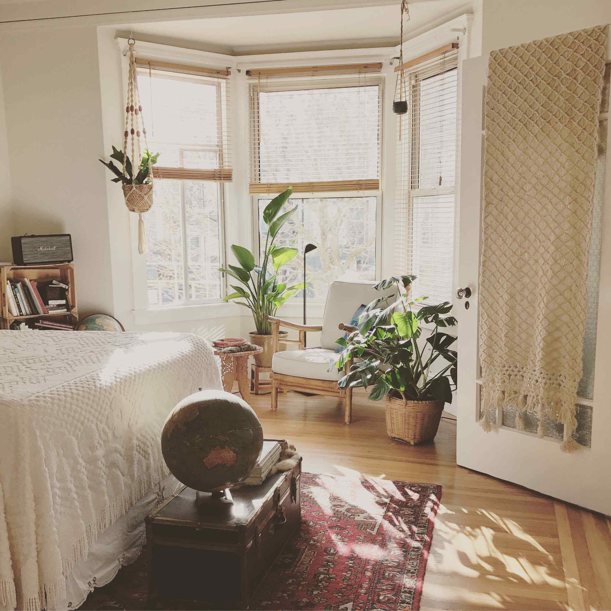 decoratiuni camera plante
