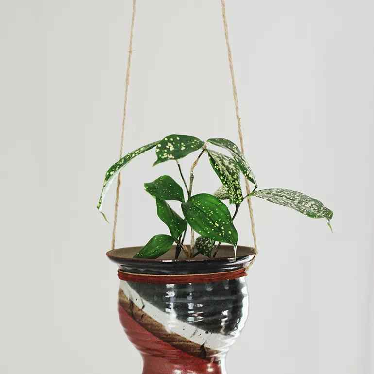 Plantă suspendată în vas din ceramică