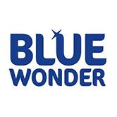 BLUE WONDER