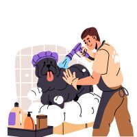 Cosmetice veterinare